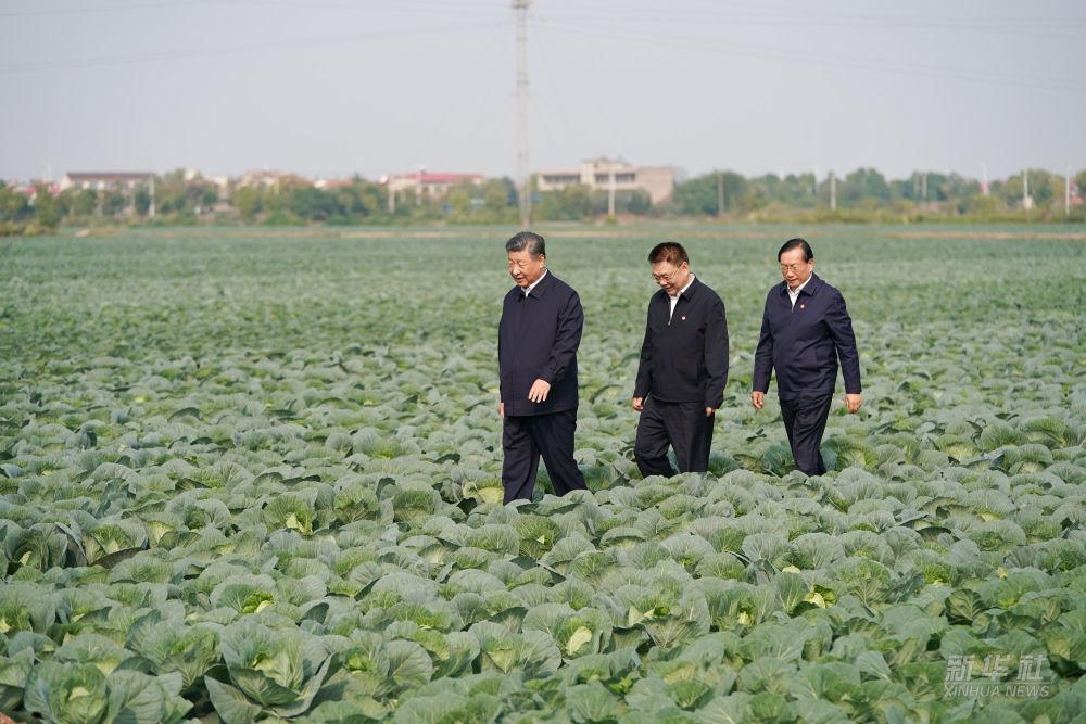 习近平在湖北考察调研