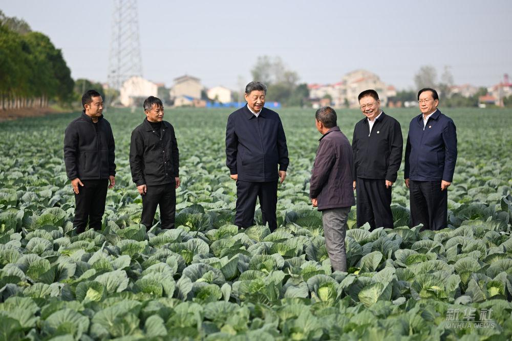 习近平在湖北考察调研