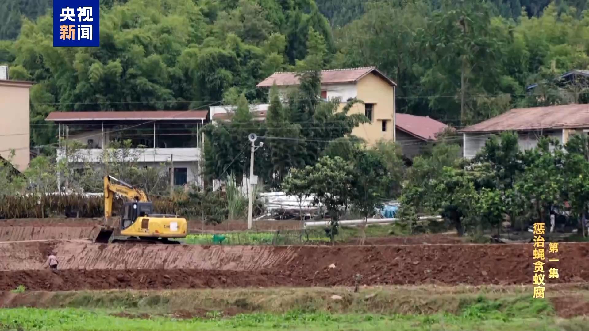 电视专题片《反腐为了人民》第一集《惩治蝇贪蚁腐》  第8张