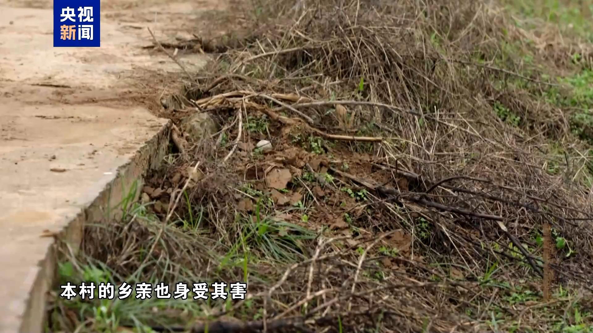 电视专题片《反腐为了人民》第一集《惩治蝇贪蚁腐》  第10张